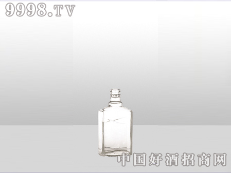 ZH-ZD-530ƿ500ml