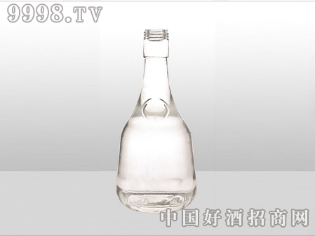 ZH-ZD-538ƿ500ml