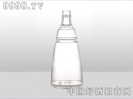 ZH-ZD-562ƿ500ml