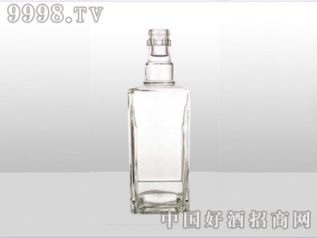 ZH-ZD-590ƿ500ml