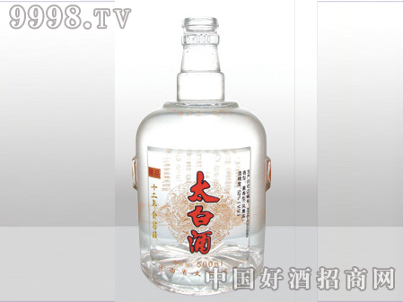 ZH-ZD-664ƿ500ml