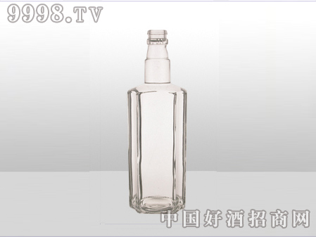 ZH-ZD-621ƿ500ml