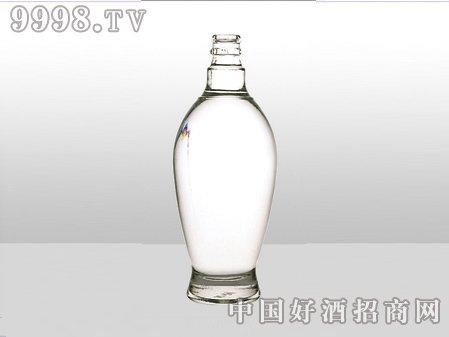 ZH-ZD-694ƿ500ml