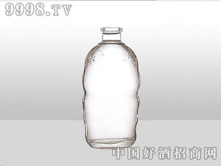 ZH-ZD-695ƿ500ml