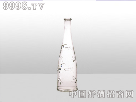 ZH-ZD-7232ƿ500ml