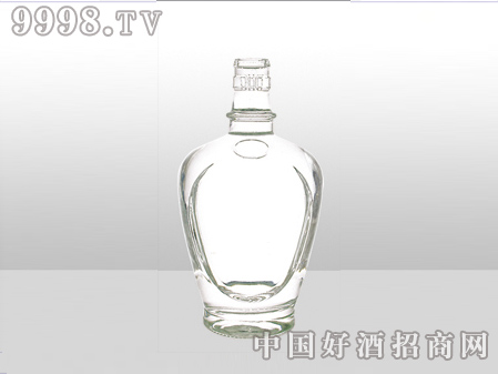 ZH-ZD-726ƿ500ml