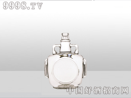 ZH-ZD-813ƿ500ml