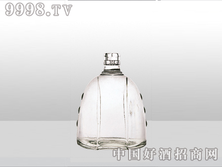 ZH-ZD-816ƿ500ml