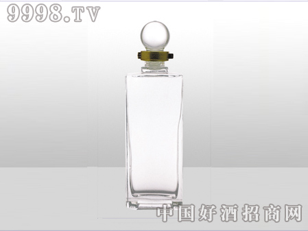 ZH-ZD-641ƿ500ml