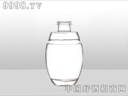 ZH-ZD-645ƿ500ml