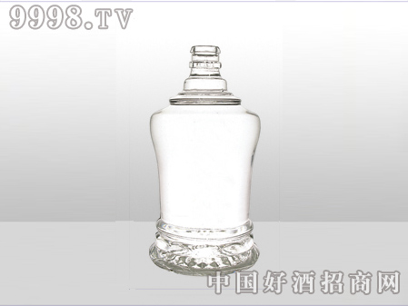 ZH-ZD-650ƿ500ml