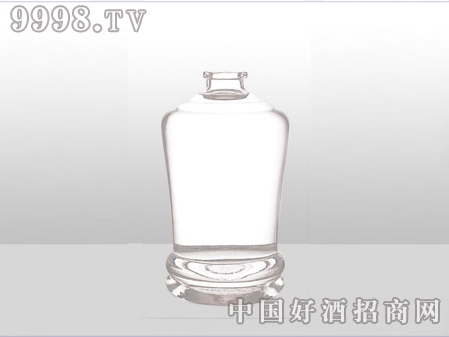 ZH-ZD-651ƿ500ml