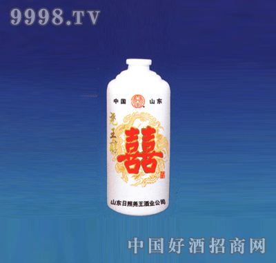 SLP-r011ƿ500ml