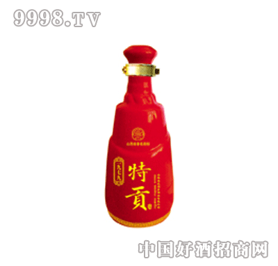 ͿƿPT-011