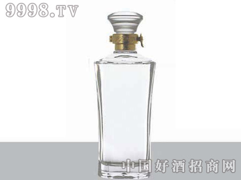 ·龧ϾƿJBLJ-028 450ml500ml