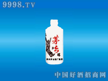 ·ײƿę́ZD-R-144 500ml