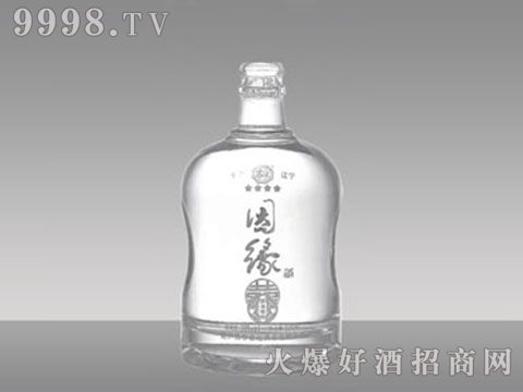 ƽƿJP-015Ե500ml