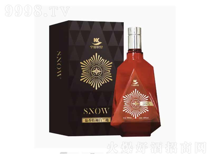 SNOWصĺɽơ40500ml